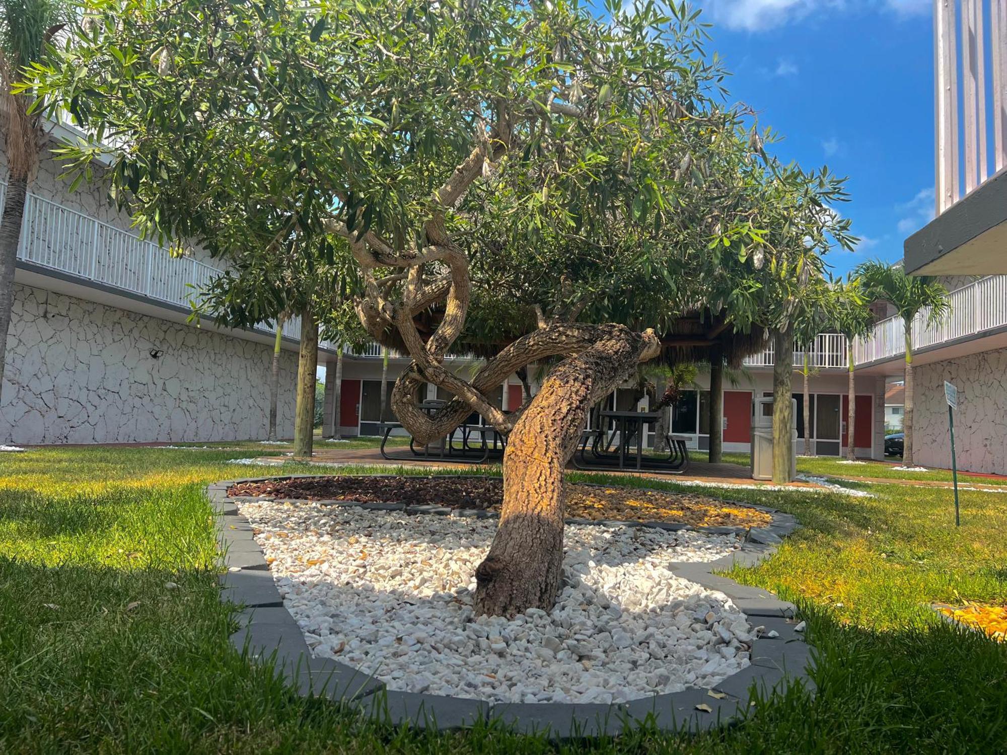 Garden Inn Homestead/Everglades/Gateway To Keys Exteriér fotografie
